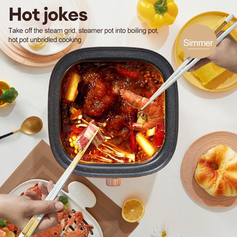 BALASHOV US Plug 2 Tier Electric Food Steamer for Cooking Vegetables, with Visualization Lids and Stackable Baskets for Fast Simultaneous Cooking, 9.5QT Multifunctional Electric Hot Pot, Auto Shutoff & Boil Dry Protection