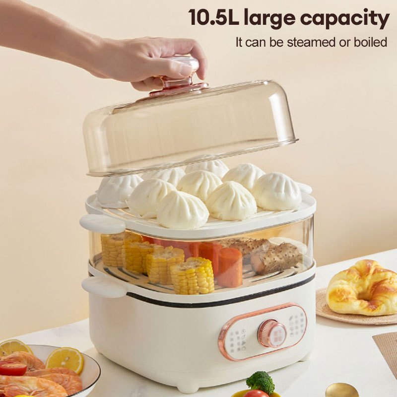 BALASHOV US Plug 2 Tier Electric Food Steamer for Cooking Vegetables, with Visualization Lids and Stackable Baskets for Fast Simultaneous Cooking, 9.5QT Multifunctional Electric Hot Pot, Auto Shutoff & Boil Dry Protection
